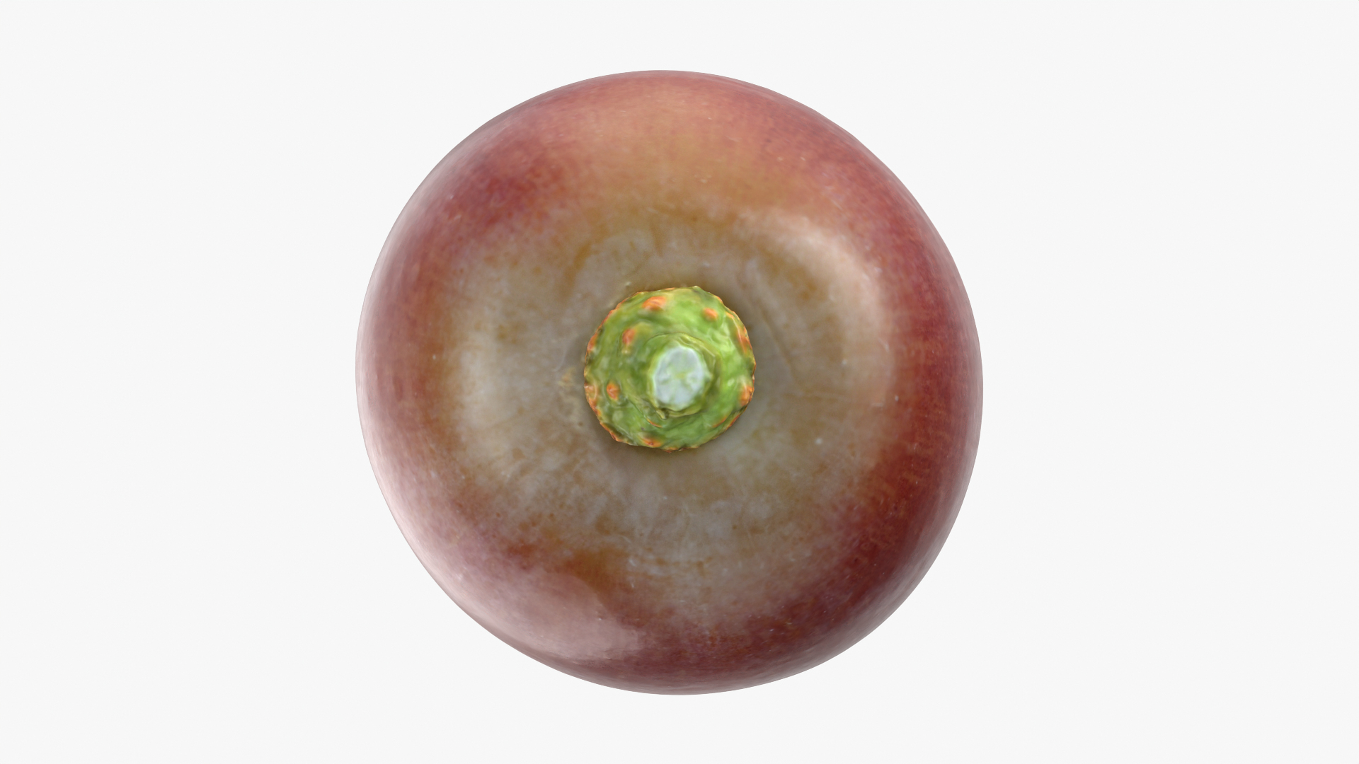 Grape 01 3D model https://p.turbosquid.com/ts-thumb/QY/JdjVLB/Yx/grape01/png/1752838500/1920x1080/turn_fit_q99/67e89c7f0ba06d852745d735026b019a725228a0/grape01-1.jpg