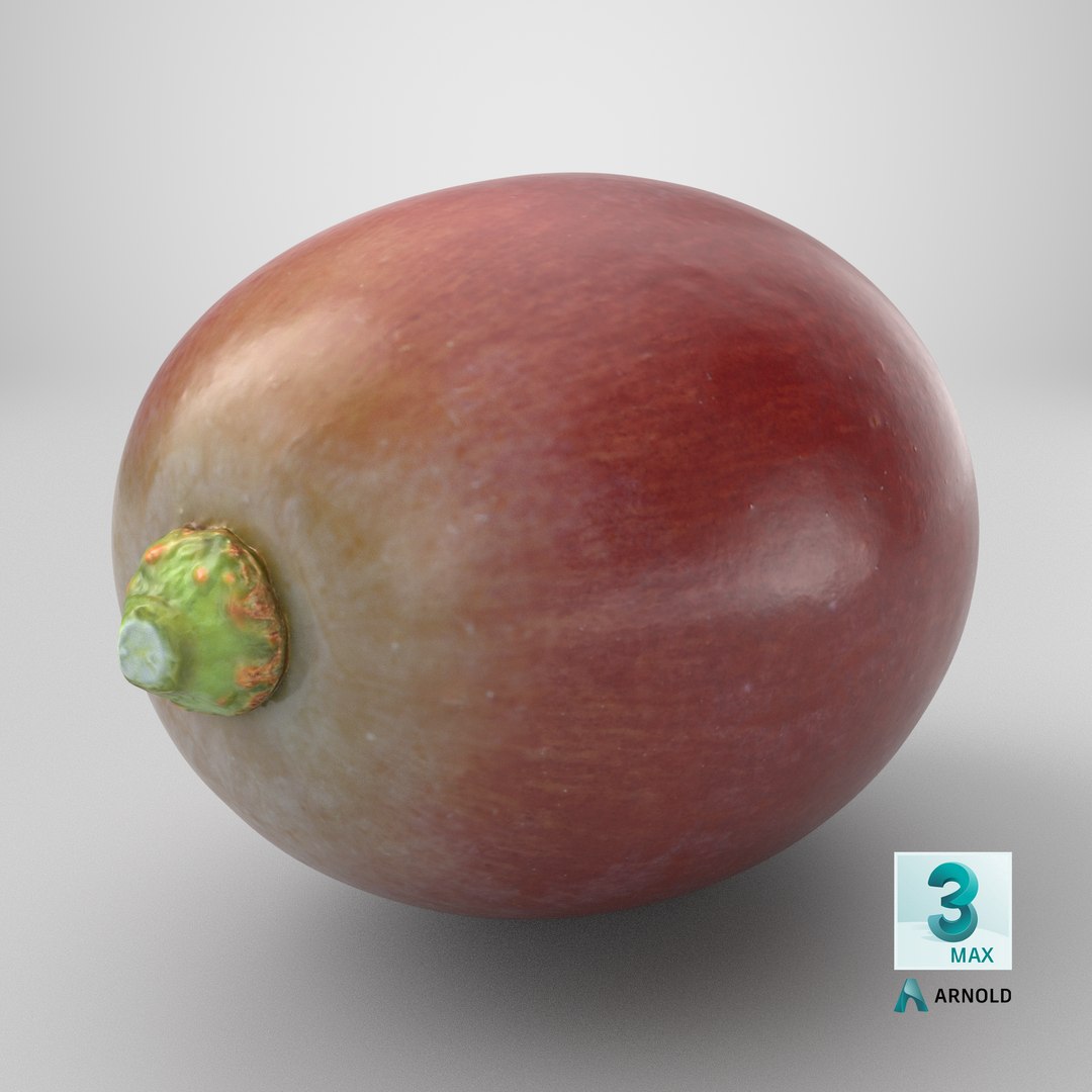 Grape 01 3D model https://p.turbosquid.com/ts-thumb/QY/JdjVLB/da/stemcell_max_arnold_render/png/1753981334/1920x1080/fit_q87/0530e6d5400bf8dff472fa1136acd807cca55c64/stemcell_max_arnold_render.jpg