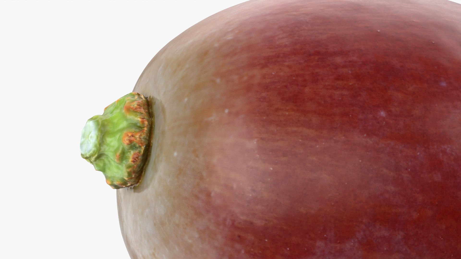 Grape 01 3D model https://p.turbosquid.com/ts-thumb/QY/JdjVLB/fi/grape01_0012/png/1752838547/1920x1080/fit_q87/fb1d4962c403c981d156fbc476010346d23afb84/grape01_0012.jpg