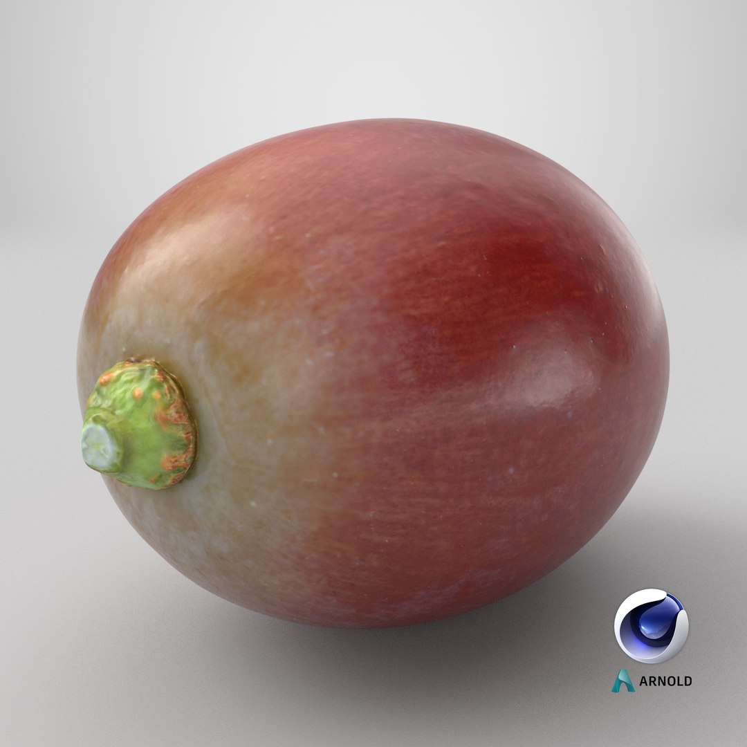 Grape 01 3D model https://p.turbosquid.com/ts-thumb/QY/JdjVLB/mC/stemcell_cinema_4d_arnold_render/png/1753981329/1920x1080/fit_q87/6980b57d8239b9d407750eadd2c0366155658f52/stemcell_cinema_4d_arnold_render.jpg