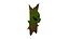 Walton Korok