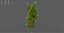 Walton Korok