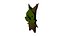 Walton Korok