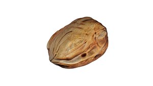 3D model Walnut v2