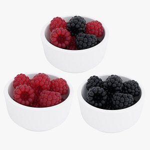 Berry bowl collection 2 3D model