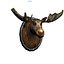 Moose Head Trophy, low poly 3D model