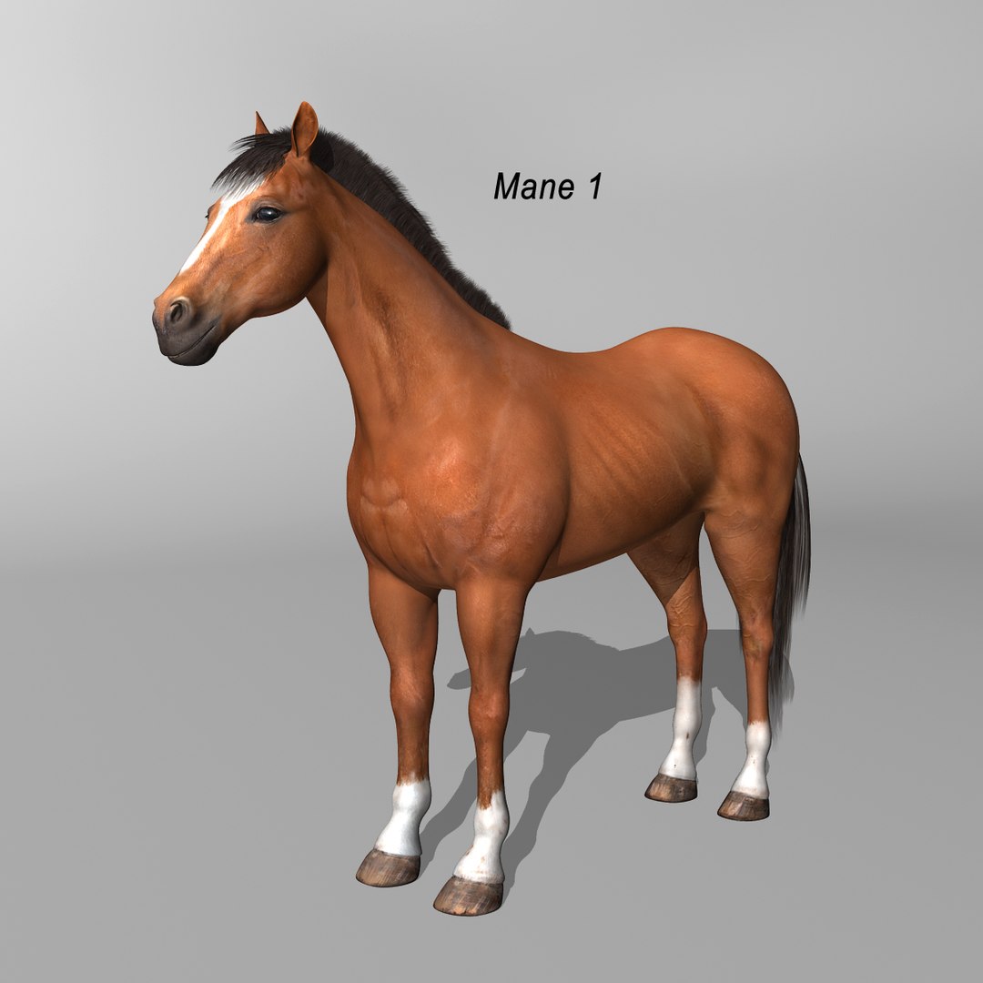 brown rigged looped 3d c4d https://p.turbosquid.com/ts-thumb/QZ/3U1IIv/BzhY1O0P/brown_horse_b3/jpg/1338692890/1920x1080/fit_q87/4aa9dfa1fa90b531d37605a747954d317b3788e2/brown_horse_b3.jpg
