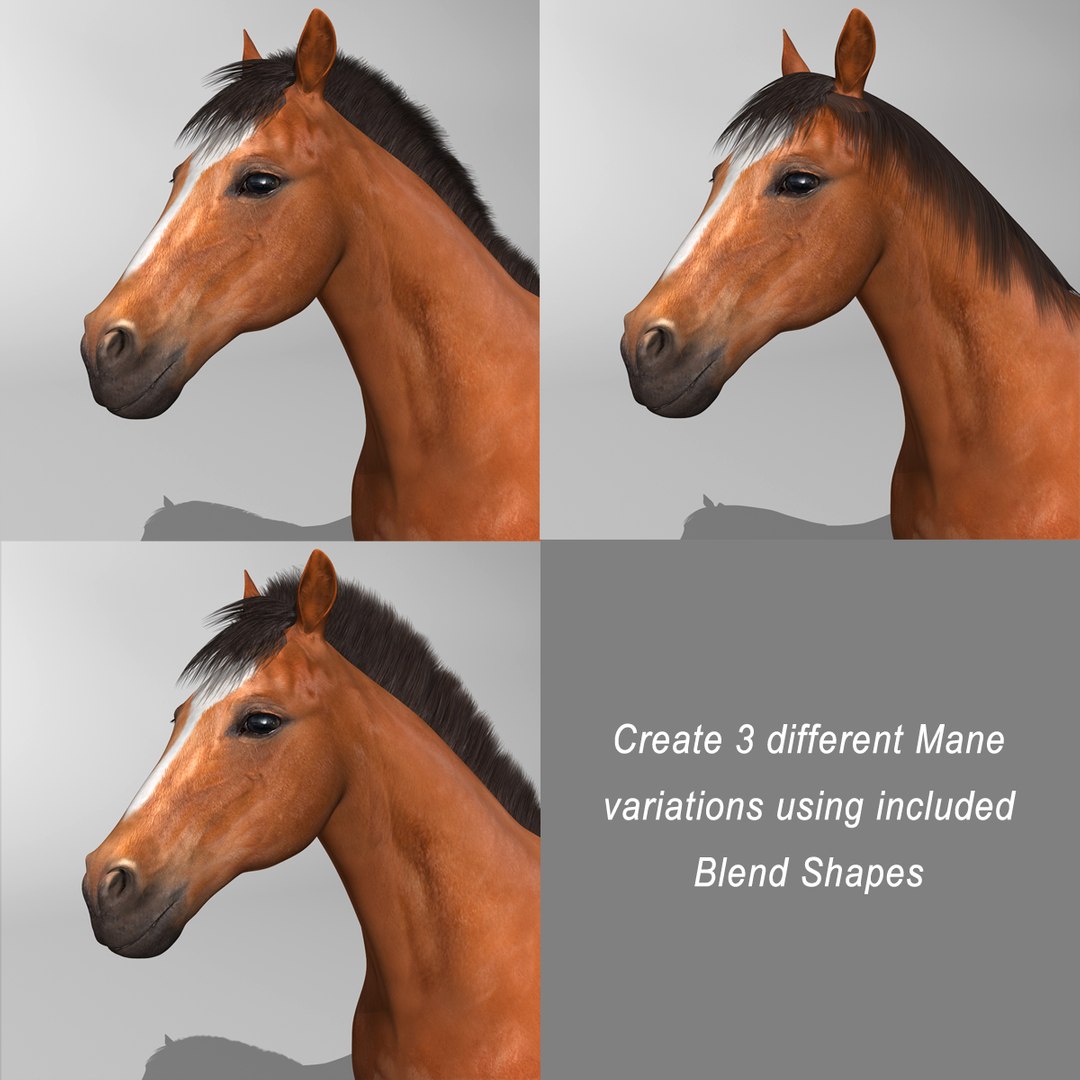 brown rigged looped 3d c4d https://p.turbosquid.com/ts-thumb/QZ/3U1IIv/de7mNkSQ/brown_horse_h/jpg/1338692890/1920x1080/fit_q87/4112ee365068d8289f78fe7f6443958a2806b19b/brown_horse_h.jpg