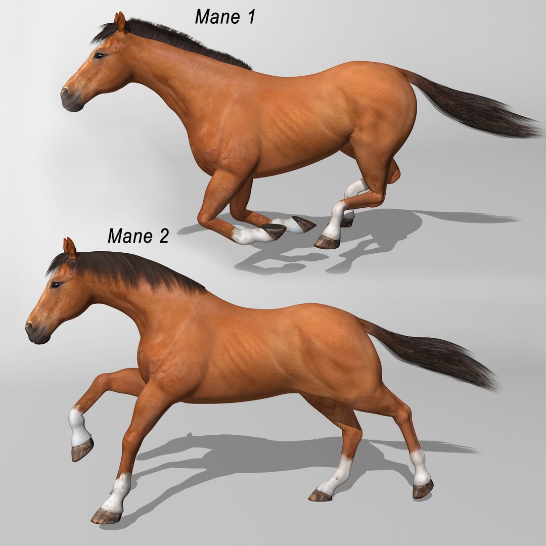 brown rigged looped 3d c4d https://p.turbosquid.com/ts-thumb/QZ/3U1IIv/hsMFtgV5/brown_horse_d/jpg/1338692890/1920x1080/fit_q87/ab71784a9a1fe2ac8371b9ef629e5118e706261f/brown_horse_d.jpg