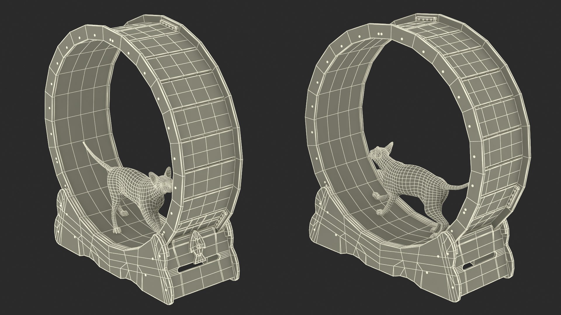 3D Sphynx Cat on Homegroove Exercise Wheel https://p.turbosquid.com/ts-thumb/QZ/DhCbdn/hj/sphynx_cat_on_homegroove_exercise_wheel_022/jpg/1731435261/1920x1080/fit_q87/3e6ef9c0652c057c9321cf72f37d49b38df4997d/sphynx_cat_on_homegroove_exercise_wheel_022.jpg