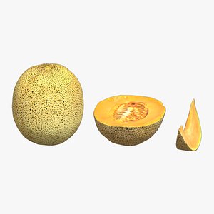 3D Melon 02 Low Poly model