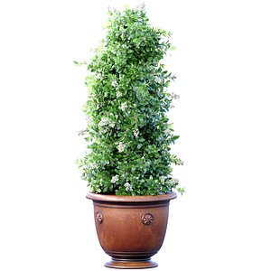 3D Decorative tall evergreen flowering garden tree bush with white flowers in a classic pot Outdoor