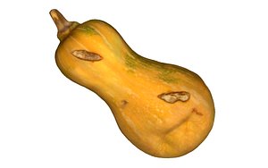 gourd 3D model