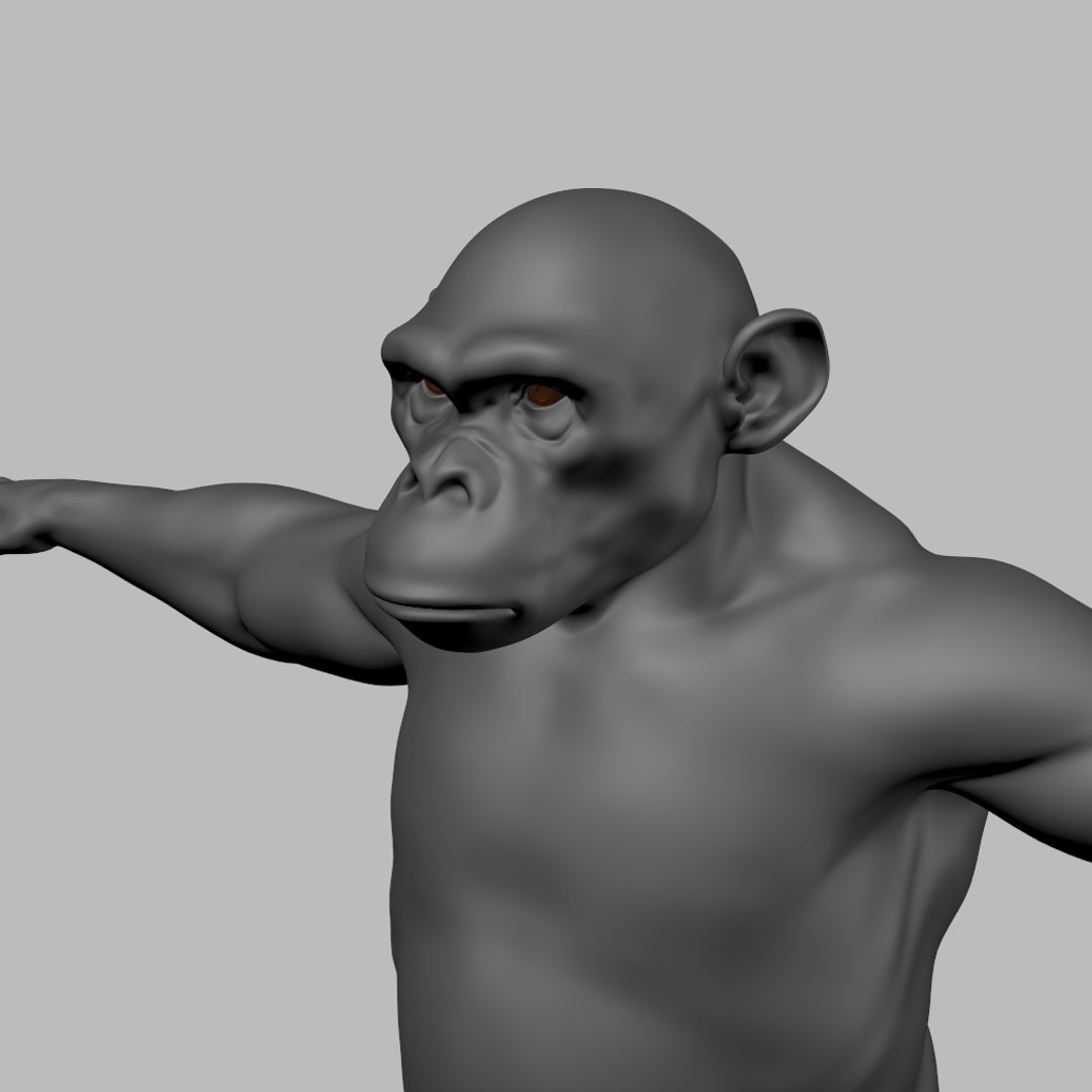 3D Model Chimpanzee Rigged - TurboSquid 1616231
