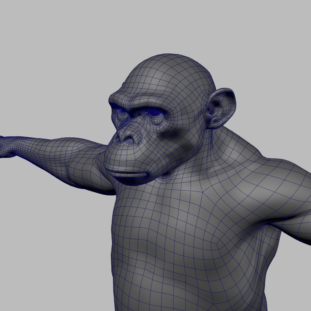 3D Model Chimpanzee Rigged - TurboSquid 1616231