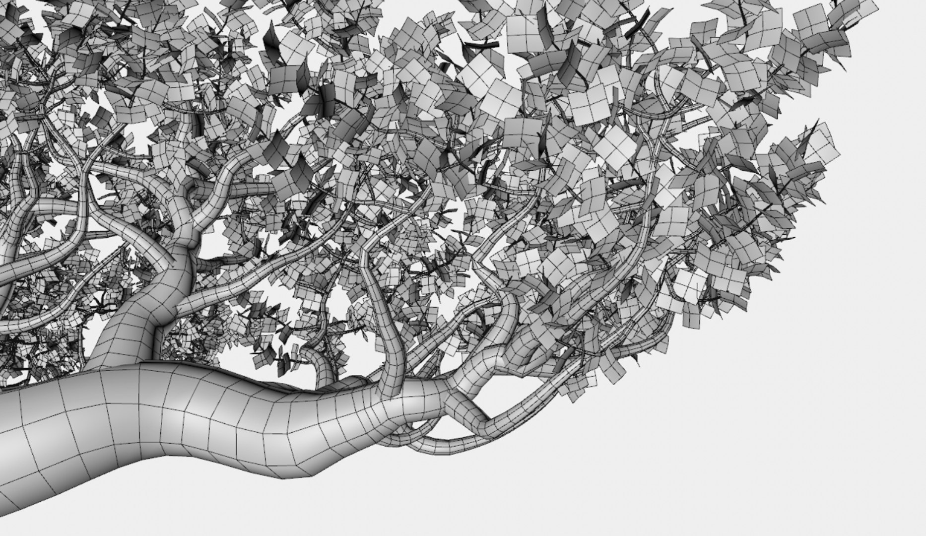 African Tree Africa 3D Model - TurboSquid 1674961