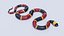 3D Animated Eastern Coral Snake
