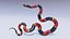 3D Animated Eastern Coral Snake