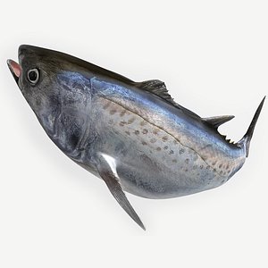 TUNA FISH Rigged L1894