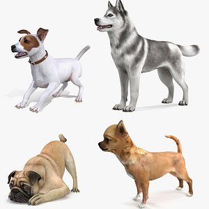 Dogs Rigged Collection 3  for Cinema 4D 3D model