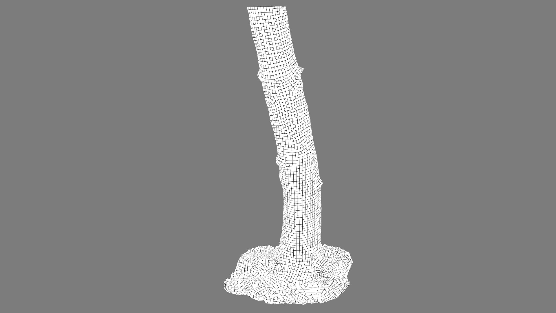 3D Scanned Forest Tree Trunk 05 StemCell - TurboSquid 2290541
