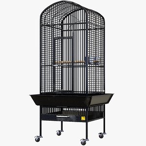 Bird Cage Lowpoly PBR