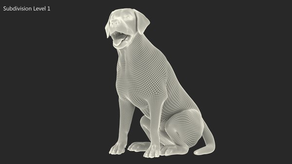 ラブラドール犬の白い座っている3Dモデル - TurboSquid 1824297