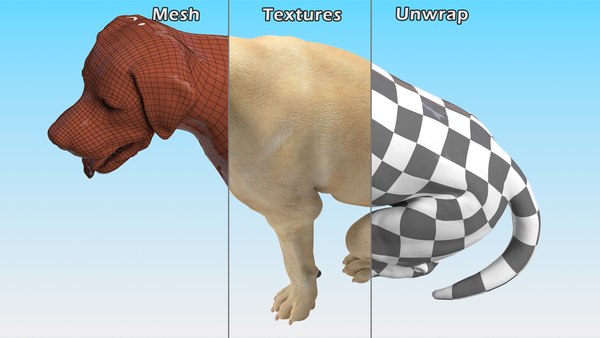 ラブラドール犬の白い座っている3Dモデル - TurboSquid 1824297