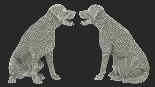 ラブラドール犬の白い座っている3Dモデル - TurboSquid 1824297