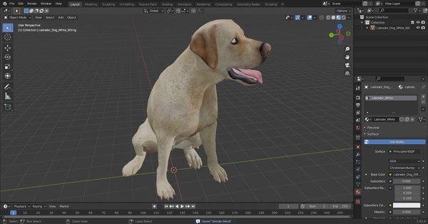 ラブラドール犬の白い座っている3Dモデル - TurboSquid 1824297