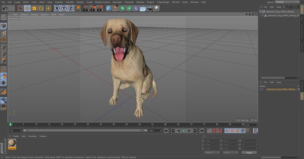 ラブラドール犬の白い座っている3Dモデル - TurboSquid 1824297