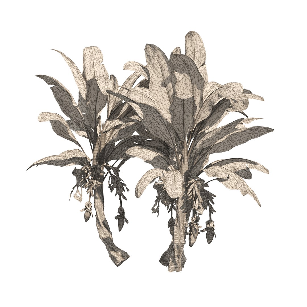3D Banana tree plant cluster https://p.turbosquid.com/ts-thumb/Qa/GgoNrx/OW/wire/jpg/1656980803/1920x1080/fit_q87/f6a71e0e175ecaded418e93e37abb26e012ffa21/wire.jpg