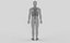 Fully Animated Lungs