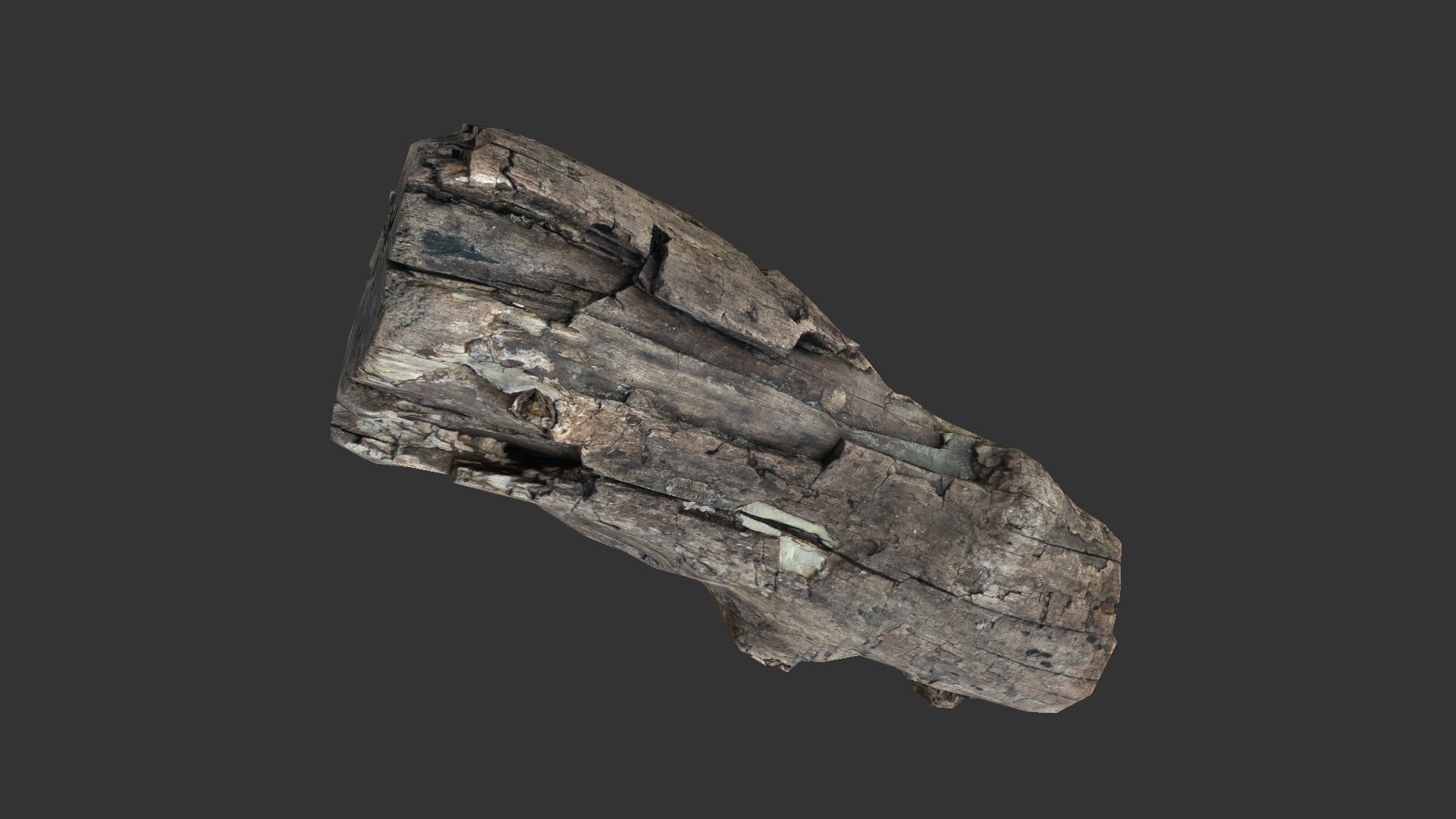 A realistic section of tree trunk model https://p.turbosquid.com/ts-thumb/Qa/S78Y0q/FG/scr19/jpg/1702640426/1920x1080/fit_q87/a627ac47dbbf3cd6b06a89bfe41a8c0229b76ad5/scr19.jpg