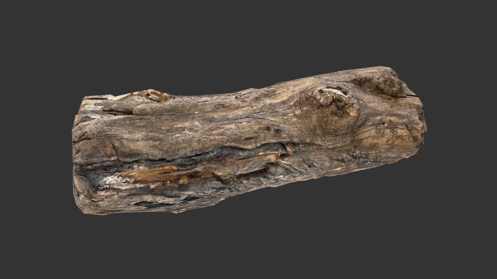 A realistic section of tree trunk model https://p.turbosquid.com/ts-thumb/Qa/S78Y0q/JS/scr10/jpg/1702640389/1920x1080/fit_q87/8da551e0fea616cf684324a72a89270675bf1f85/scr10.jpg