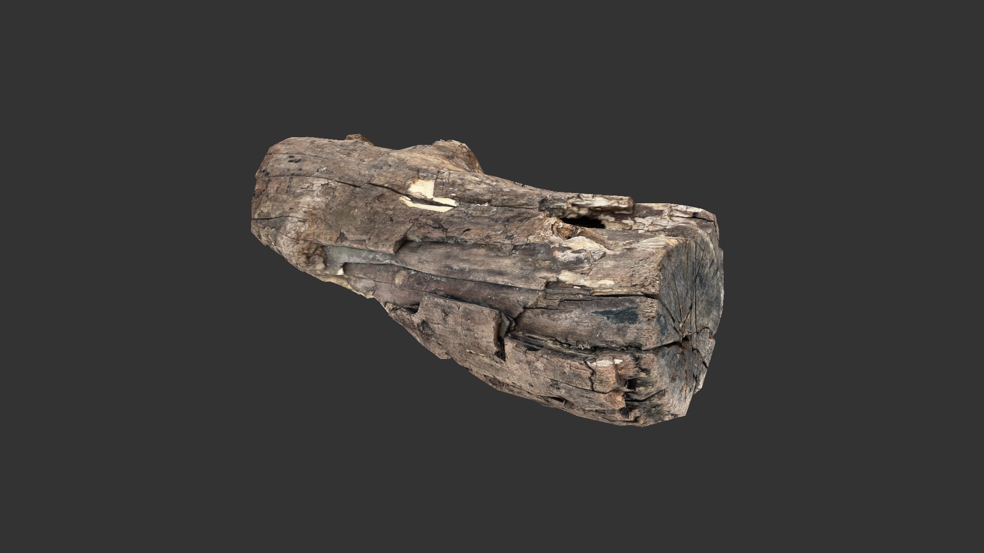 A realistic section of tree trunk model https://p.turbosquid.com/ts-thumb/Qa/S78Y0q/Vw/scr12/jpg/1702640394/1920x1080/fit_q87/caff4a3bbc8c3518964b1fb81e5be8774e81f15a/scr12.jpg
