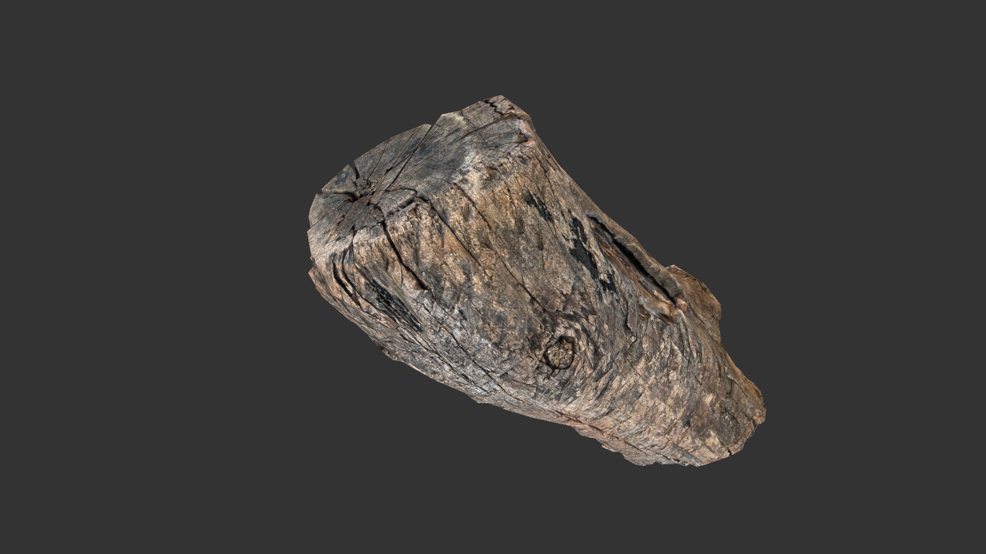 A realistic section of tree trunk model https://p.turbosquid.com/ts-thumb/Qa/S78Y0q/te/scr25/jpg/1702640469/1920x1080/fit_q87/ab2b9930818252f9f8a4dadf4d203fb842dbe632/scr25.jpg