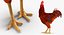 Brown Hen Standing 3D Model