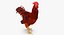 Brown Hen Standing 3D Model
