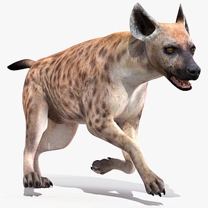 running pose hyena 3D model