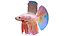 50 Fish Sea Creature Collection v3