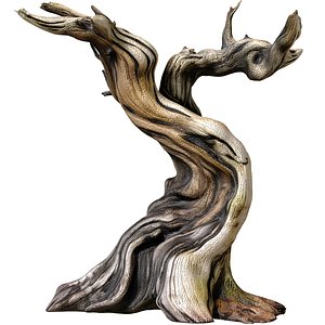 3D Ornamental Rustic weathered twisted Dry tree gnarled branches 3D model model