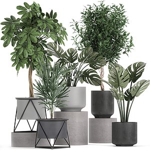 plants flowerpots pots 3D