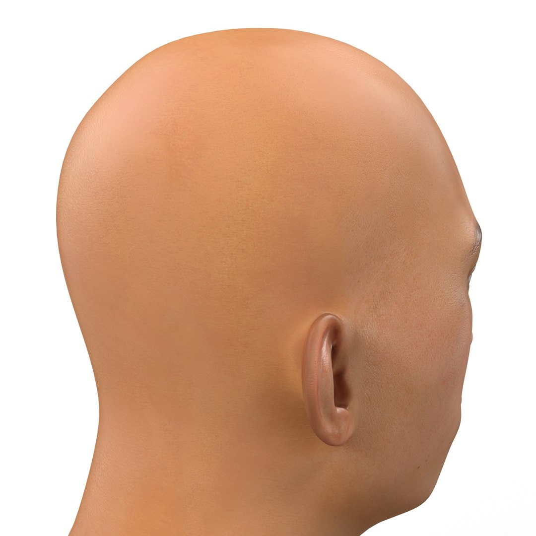 3d model asian male head 2 https://p.turbosquid.com/ts-thumb/Qb/MttGua/5FD9W4LL/asianmaleheadrigged3dmodel20/jpg/1433050086/1920x1080/fit_q87/03e182eae4c105bdd9c4d87c5c4be9440c6c6677/asianmaleheadrigged3dmodel20.jpg
