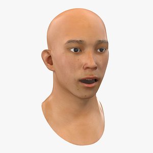 3d model asian male head 2