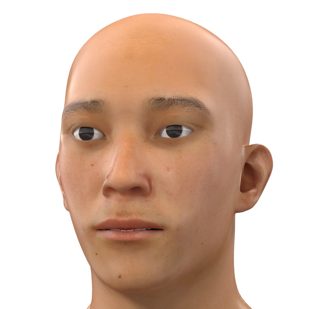 3d model asian male head 2 https://p.turbosquid.com/ts-thumb/Qb/MttGua/ZdMmL7Zj/asianmaleheadrigged3dmodel18/jpg/1433050085/1920x1080/fit_q87/722847783cae4fadc1006cbddccd86000b278413/asianmaleheadrigged3dmodel18.jpg