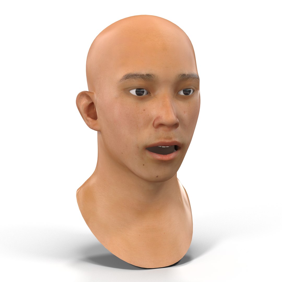 Asian Male Head 2 Rigged 3D Model preview