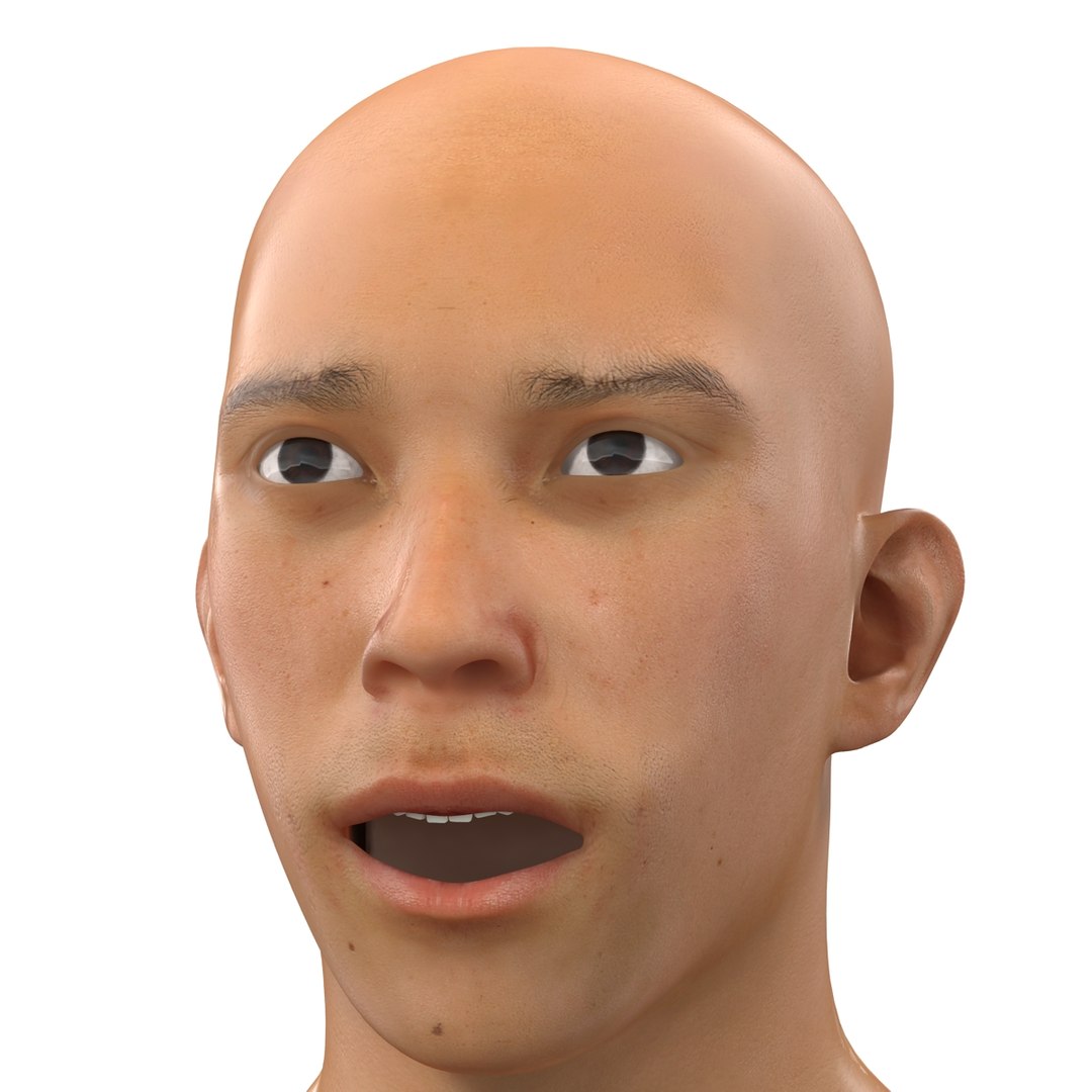 3d model asian male head 2 https://p.turbosquid.com/ts-thumb/Qb/MttGua/yzO7vBJW/asianmaleheadrigged3dmodel19/jpg/1433050086/1920x1080/fit_q87/94908229bca2c4ff5258fb115f147e6183fa0d23/asianmaleheadrigged3dmodel19.jpg