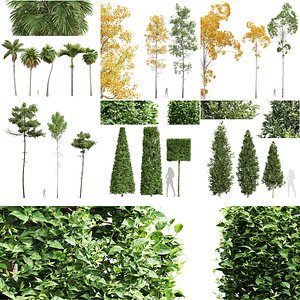 3D model 6Different SETS of Tree Set Vol 41