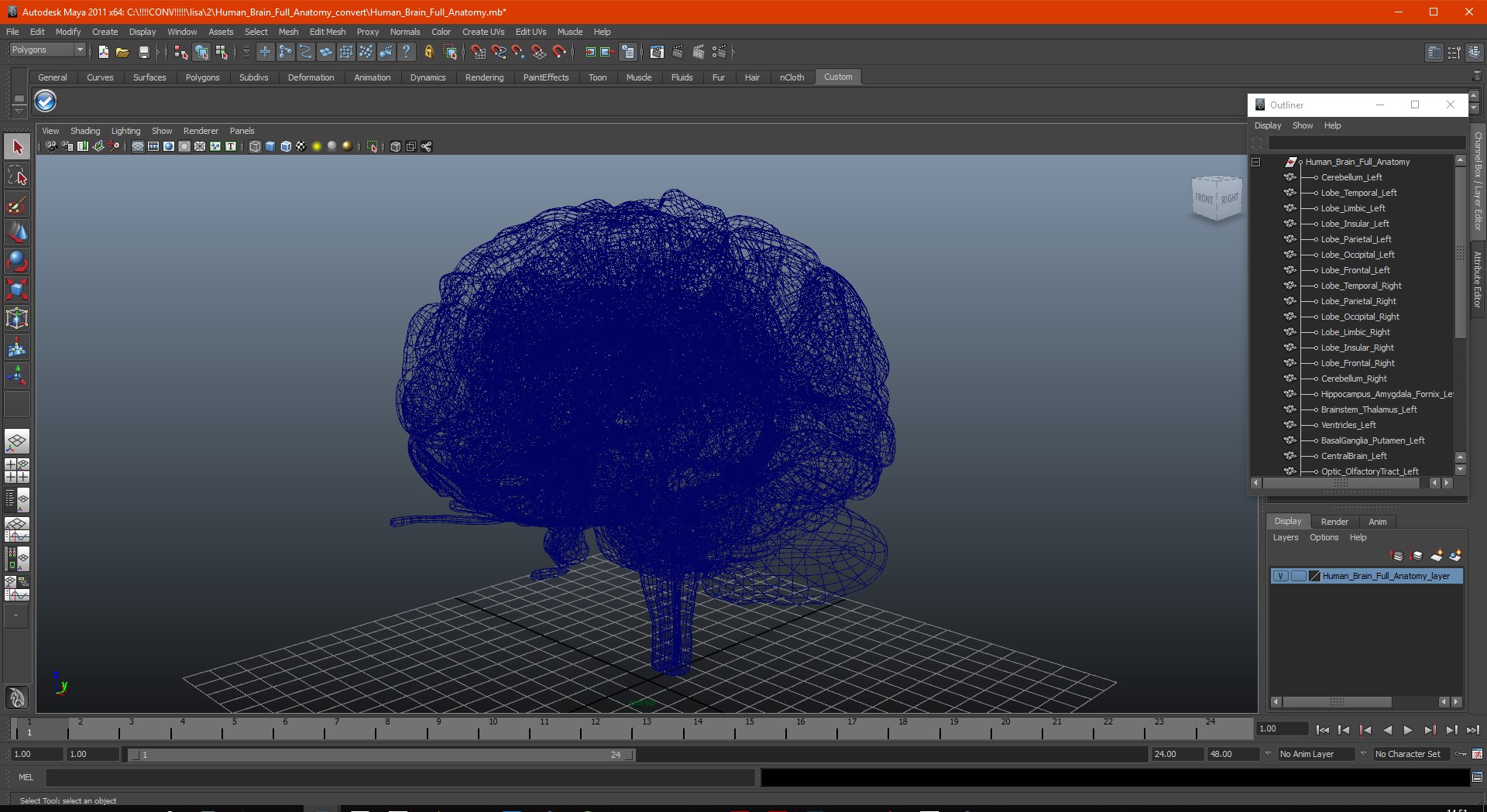 3D human brain anatomy model https://p.turbosquid.com/ts-thumb/Qb/ULSdCL/ESzBtdOb/humanbrainfullanatomymb3dmodel026/jpg/1572746403/1920x1080/fit_q87/1f34aa0100d69345bde557d1209922563fe9c23a/humanbrainfullanatomymb3dmodel026.jpg